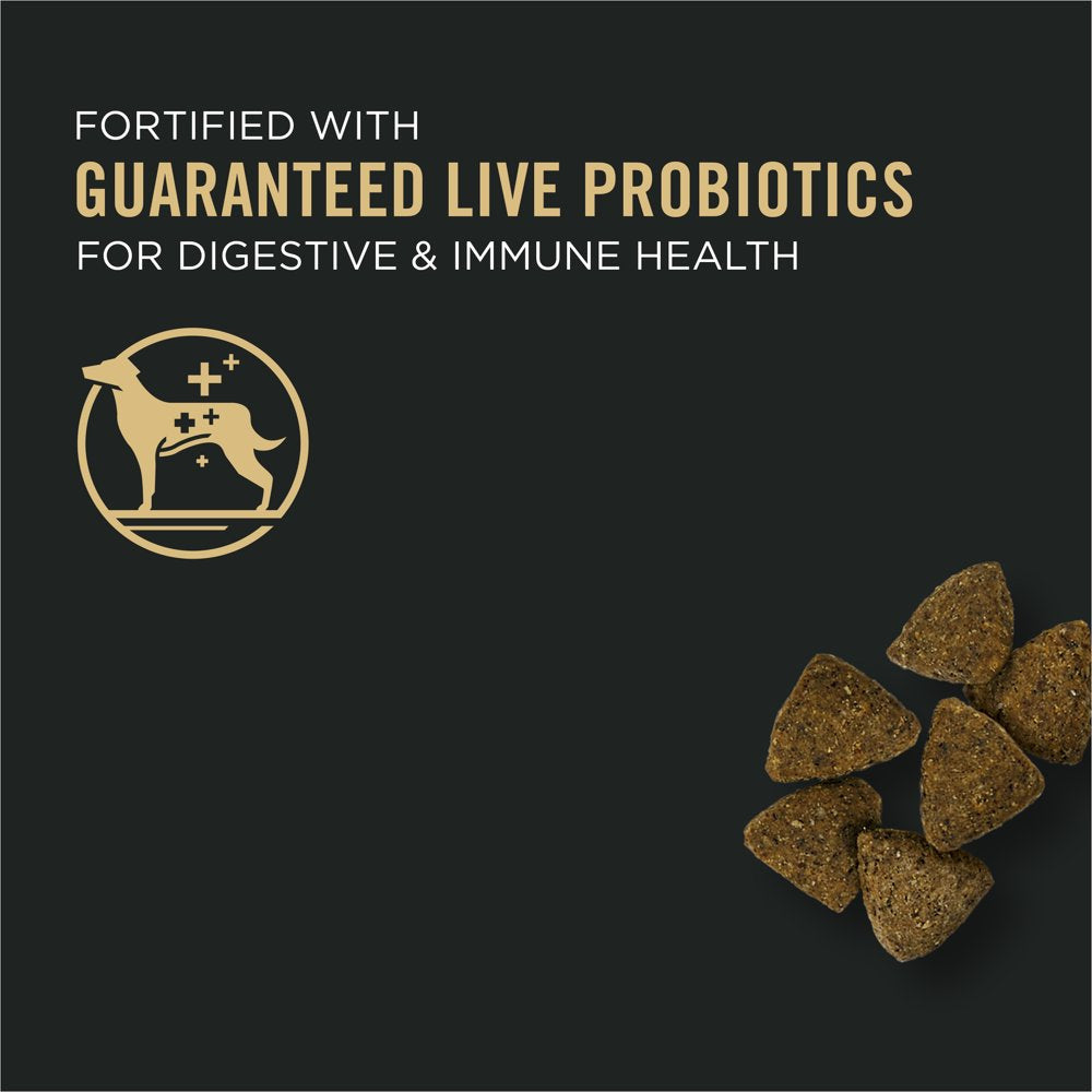 purina-pro-plan-sensitive-skin-and-stomach-dog-food-with-probiotics-for-dogs-turkey-oat-meal-formula-24-lb-bag-02-fe110302b738d7c6c137aeead4429df3.jpg