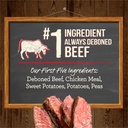 merrick-real-texas-beef-sweet-potato-dry-dog-food-grain-free-22-lb-bag-03-b493cbe6fc7f5ccb9c957adf709a1591.jpg