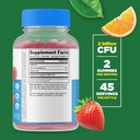 lifeable-sugar-free-probiotics-2-billion-cfu-90-gummies-02-38e31c06ec24d900f6866502e1c49b62.jpg
