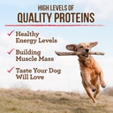 merrick-real-texas-beef-sweet-potato-dry-dog-food-grain-free-22-lb-bag-05-5d4ea4f517b8b080e34d937aa747f10e_ce9b91d3-3b0b-414a-b0c2-b9638a92480b.jpg