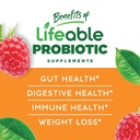 lifeable-sugar-free-probiotics-2-billion-cfu-90-gummies-04-632d3034e907607138a7059f0f1fb8d1.jpg