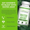 natures-clear-water-away-natural-diuretics-for-water-retention-with-dandelion-leaf-green-tea-apple-cider-vinegar-relieve-water-retention-bloating-relief-for-women-men-60-capsules-04-936f2f2ff4a6724abf5f29ed754e8c8d.jpg