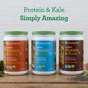 amazing-grass-vegan-protein-kale-powder-20g-of-organic-protein-1-cup-leafy-greens-per-serving-vanilla-15-servings-07-cfdc4075e2457c90d86badb9f5ce71f1.jpg