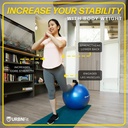 urbnfit-exercise-ball-elite-sportz-electrolytes-bundle-yoga-ball-for-workout-pregnancy-stability-antiburst-swiss-balance-ball-w-pump-fitness-ball-chair-for-office-home-gym-06-ff7e6c252fc5efd4498e6e9b28d6b1dc.jpg