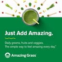 amazing-grass-vegan-protein-kale-powder-20g-of-organic-protein-1-cup-leafy-greens-per-serving-vanilla-15-servings-10-de1ffc2ede0c25963e74fa8be8c542ee.jpg