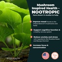 nootropic-mushroom-formula-with-bacopa-monnieri-6-bottles-07-e33f4c6fa98dacfd6fec1a93693d4a3b.jpg
