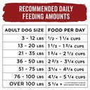 purina-beneful-dry-dog-food-originals-with-real-beef-15-5-lb-bag-04-b91c8ba98b3665126bdf437be82a5b57.jpg