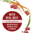 purina-beneful-dry-dog-food-originals-with-real-beef-15-5-lb-bag-08-86a09c0ed1469b489e674c55b42bb7ea.jpg