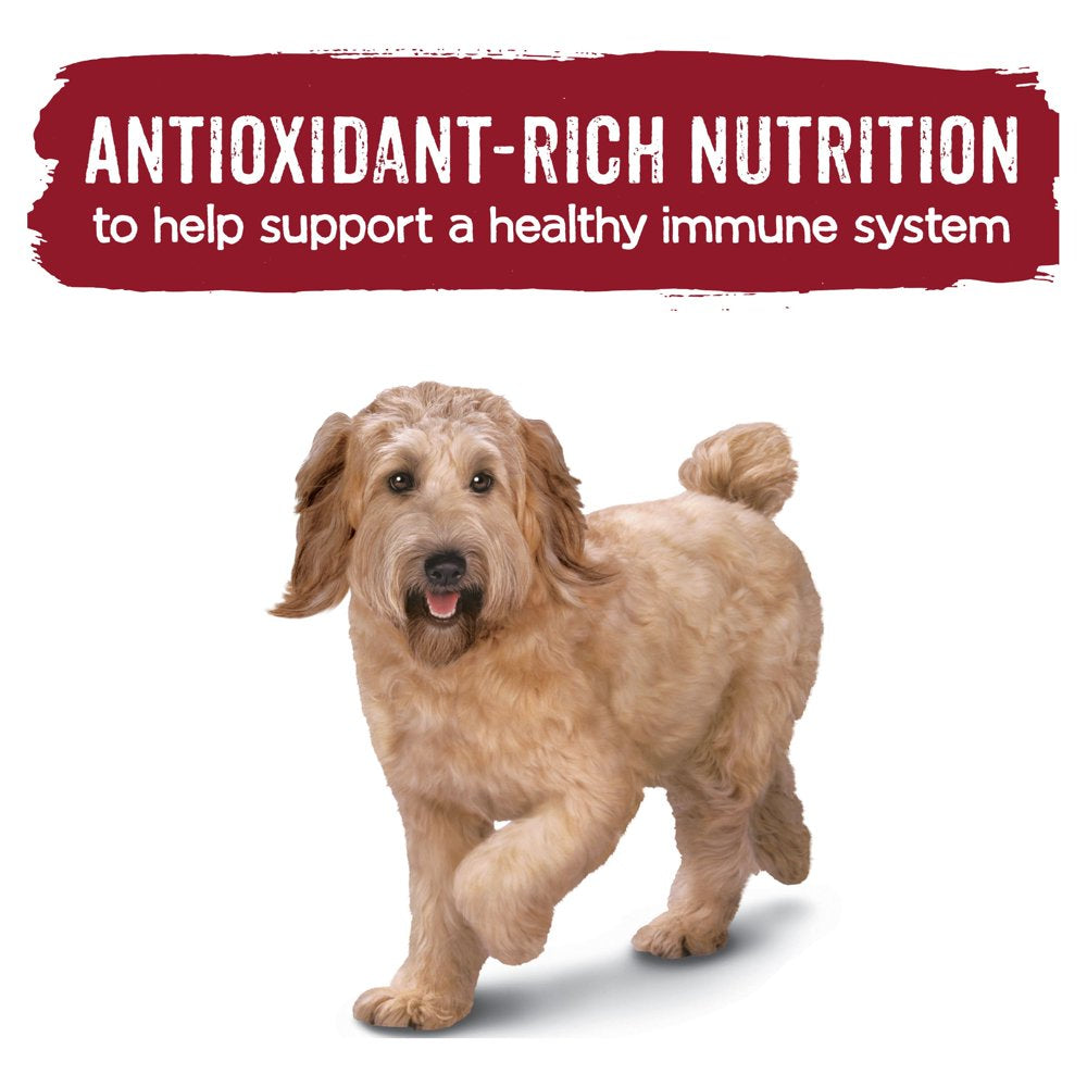 purina-beneful-dry-dog-food-originals-with-real-beef-15-5-lb-bag-11-41b2709df924012037ddcf64bb93172f.jpg