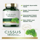 cissus-quadrangularis-extract-1800mg-200-capsules-by-carlyle-03-cac9b58e1972bda0e43b2dcaf08c308e.jpg