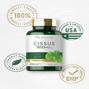 cissus-quadrangularis-extract-1800mg-200-capsules-by-carlyle-05-21994001bdaa31301c062b99b5d65b64.jpg