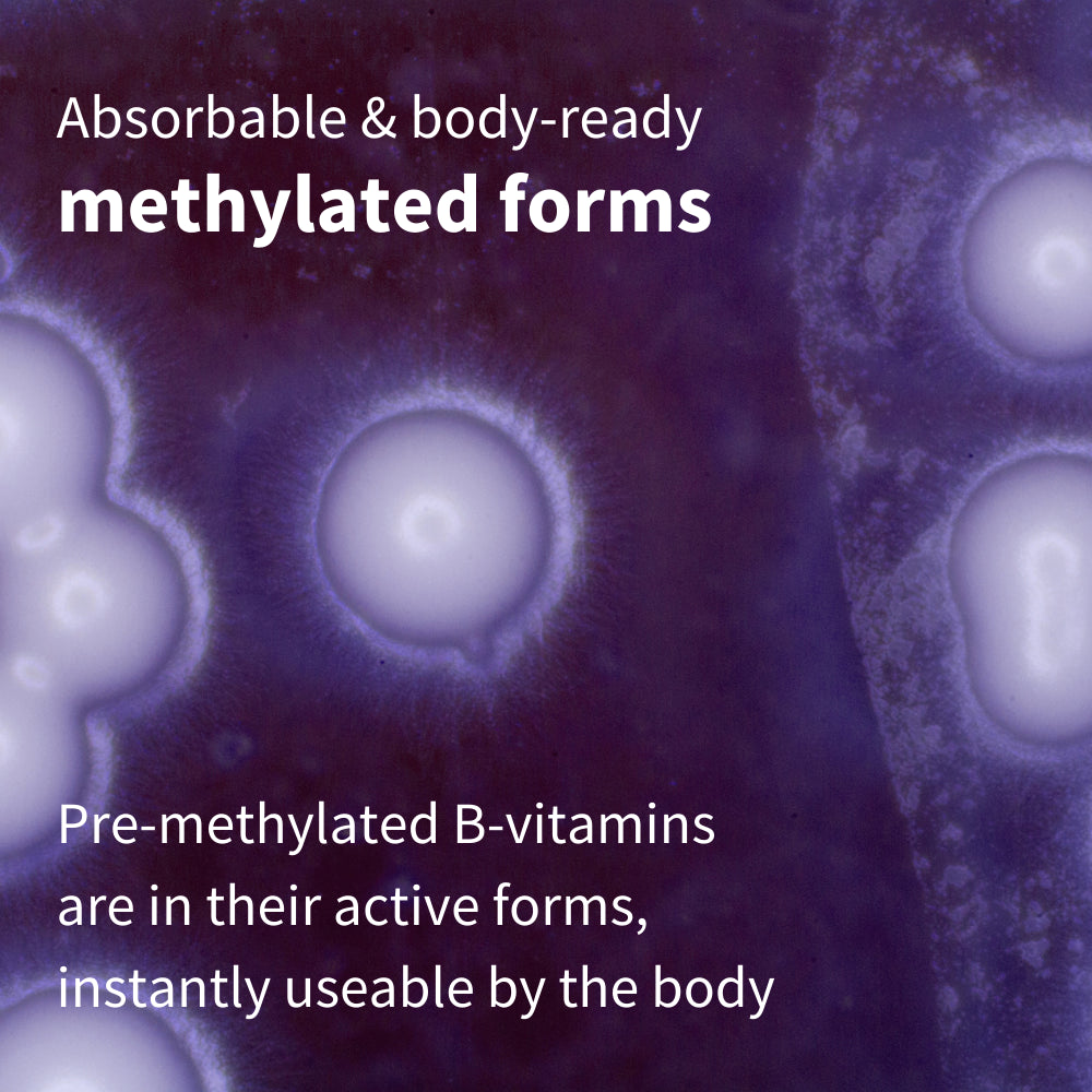 igennus-super-b-complex-methylated-sustained-release-b-complex-supplement-vegan-180-small-tablets-03-183d8fbf3637f9d1c65d28b59de58168.jpg