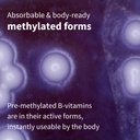 igennus-super-b-complex-methylated-sustained-release-b-complex-supplement-vegan-180-small-tablets-03-183d8fbf3637f9d1c65d28b59de58168.jpg