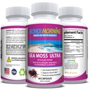 sea-moss-ultra-organic-irish-moss-for-better-digestion-energy-pills-for-women-and-men-60-capsules-02-a57ee4248c9b918f074f4512fb13a8a2.jpg