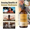 herbamama-super-immune-mushroom-complex-liquid-extract-immune-support-energy-supplement-4-fl-oz-04-8d5bc1eb89ac2add8aa306fb2dd322c2.jpg
