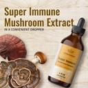 herbamama-super-immune-mushroom-complex-liquid-extract-immune-support-energy-supplement-4-fl-oz-05-fe37fec05c5b9d52a11d519036341b60.jpg