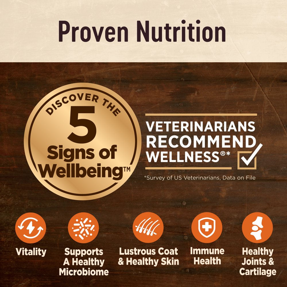 wellness-core-digestive-health-senior-dry-dog-food-with-grains-4-pound-bag-age-advantage-7-years-old-chicken-dog-food-sensitive-stomach-02-66eaa1a9276aebed6e092bb8c93be92e_e897803e-6930-48b3-8efe-b1b87e80e98b.jpg