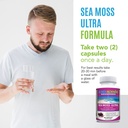 sea-moss-ultra-organic-irish-moss-for-better-digestion-energy-pills-for-women-and-men-60-capsules-08-6f5062b64d8bfa8723ce620a97790ced.jpg