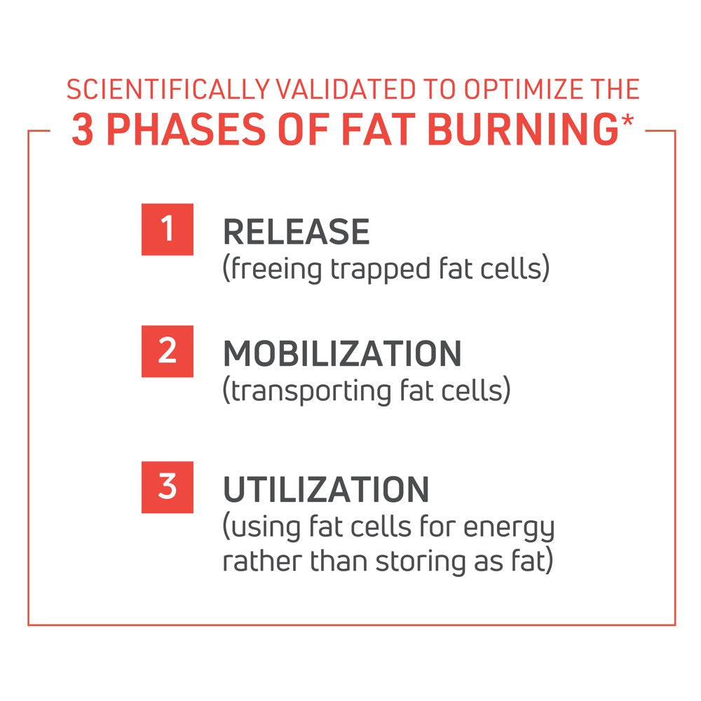 thermodyne™-thermogenic-fat-burner-fitness-supplement-metabolism-boost-burn-calories-energy-booster-improve-focus-fat-burning-pills-promote-lean-muscle-tone-1-02-f125f5c160a671a0e3c7c7e3c660fa96.jpg