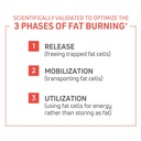 thermodyne™-thermogenic-fat-burner-fitness-supplement-metabolism-boost-burn-calories-energy-booster-improve-focus-fat-burning-pills-promote-lean-muscle-tone-1-02-f125f5c160a671a0e3c7c7e3c660fa96.jpg
