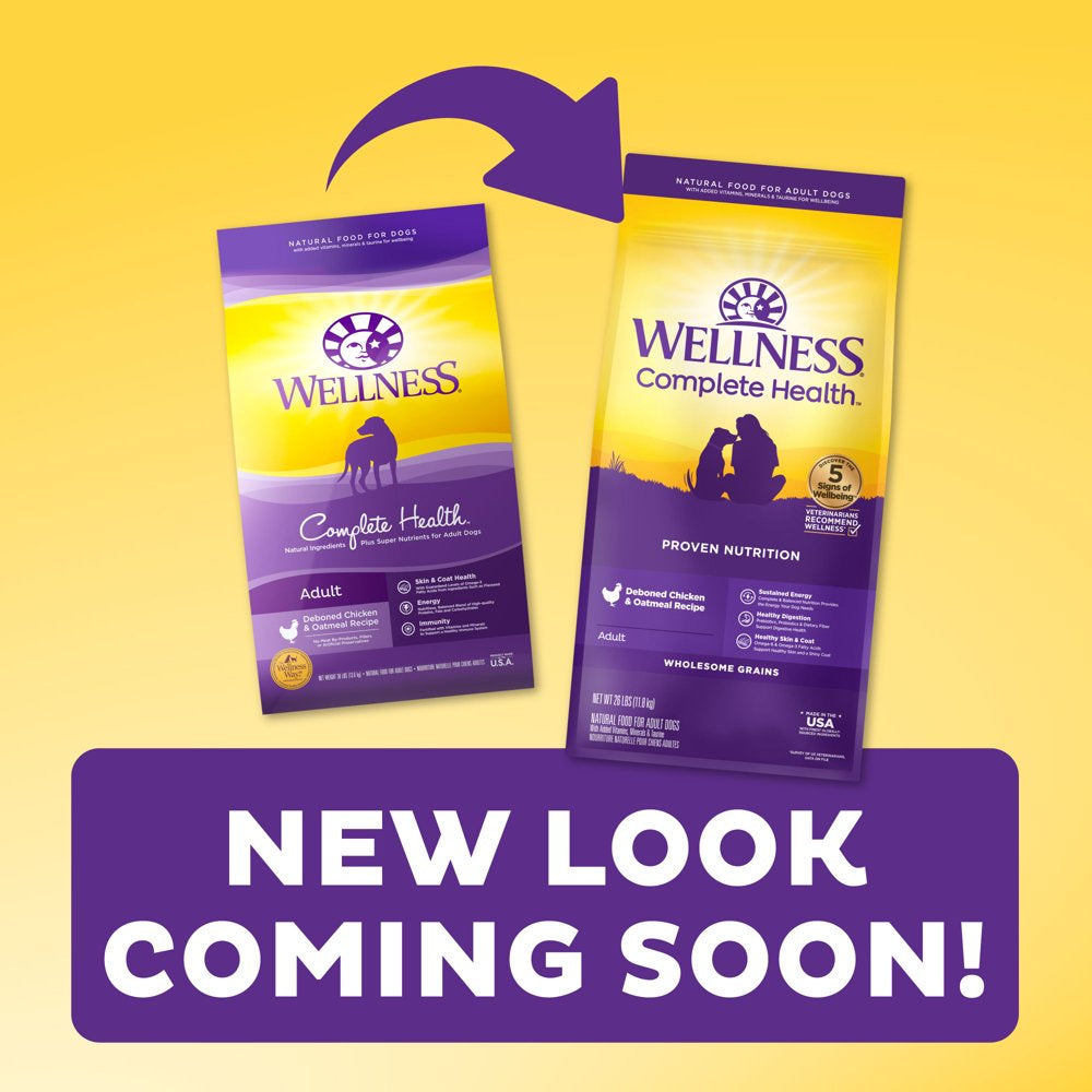 wellness-complete-health-natural-dry-dog-food-chicken-oatmeal-30-pound-bag-04-adc0a2341fae538f6724f03a4e0407d9.jpg