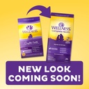 wellness-complete-health-natural-dry-dog-food-chicken-oatmeal-30-pound-bag-04-adc0a2341fae538f6724f03a4e0407d9.jpg