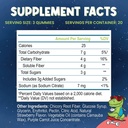 kids-fiber-gummies-daily-chicory-root-fiber-supplement-plant-based-non-gmo-for-digestive-and-intestinal-gut-health-low-sugar-prebiotic-fiber-gummy-for-children-strawberry-flavored-60-gummies-02-b435a7d729a4662ef940cfbb958e5499.jpg