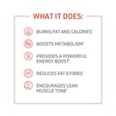 thermodyne™-thermogenic-fat-burner-fitness-supplement-metabolism-boost-burn-calories-energy-booster-improve-focus-fat-burning-pills-promote-lean-muscle-tone-1-07-b18b132bf76806aee6164af3faee304d.jpg