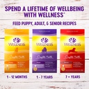 wellness-complete-health-natural-dry-dog-food-chicken-oatmeal-30-pound-bag-09-76b14536787dd60a6a07f882ea888e03.jpg