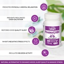 supersmart-natural-gaba-supplement-125-mg-per-day-gamma-aminobutyric-acid-with-pharmagaba-anxiety-stress-relief-non-gmo-gluten-free-60-vegetarian-capsules-02-d47acaf03cdb13eb60831cd2297dfd17.jpg