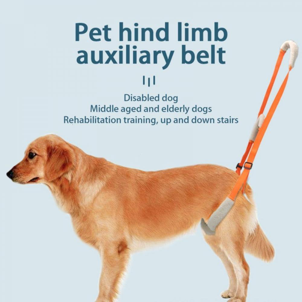 naiyafly-pet-dog-lift-harness-pet-rear-legs-support-aid-sling-for-elderly-dog-with-poor-stability-back-leg-hip-disabled-joint-injury-02-c7f26d31bc67754d3346ca9a582cad69.jpg