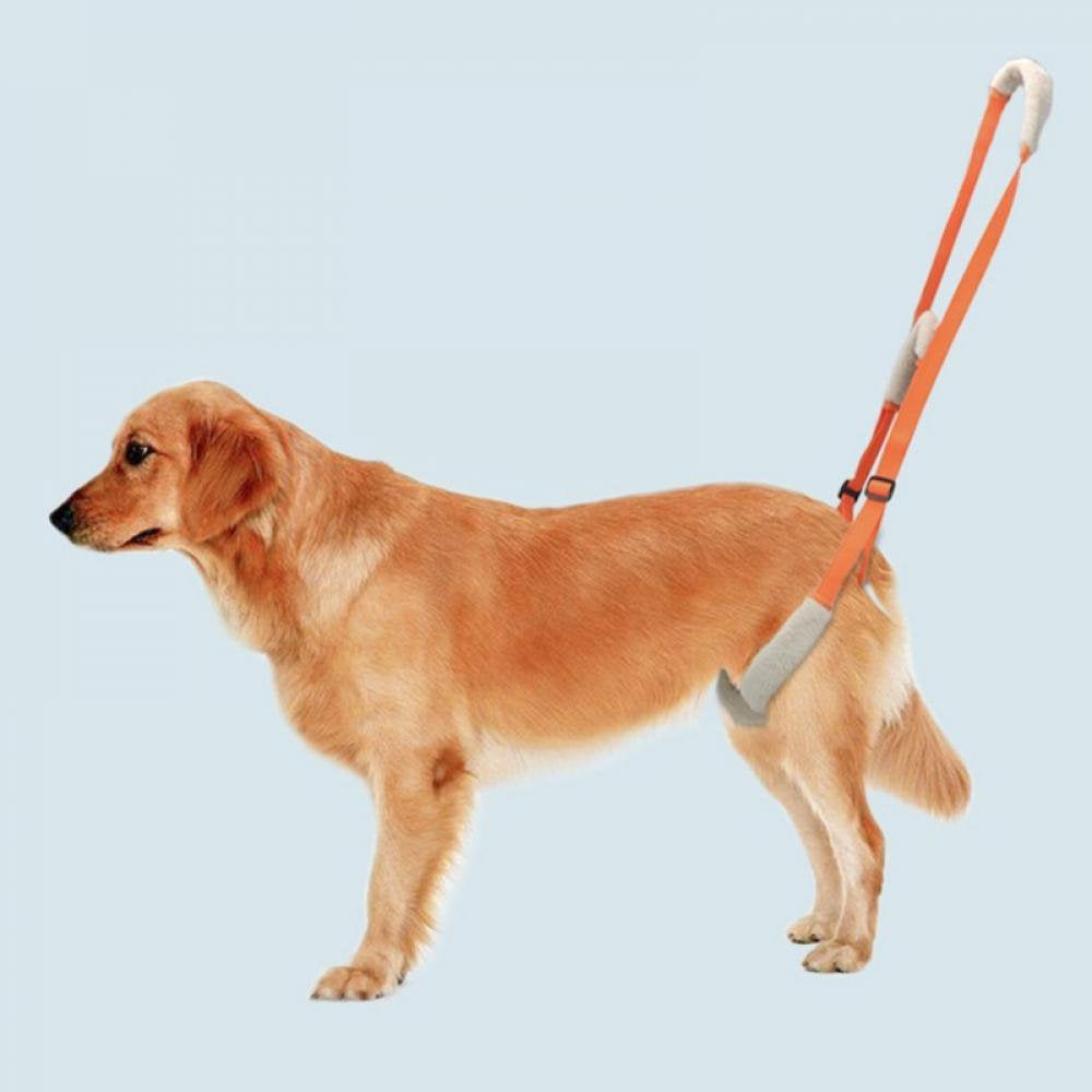naiyafly-pet-dog-lift-harness-pet-rear-legs-support-aid-sling-for-elderly-dog-with-poor-stability-back-leg-hip-disabled-joint-injury-03-b8c55c105111814314d0ffad8530af47.jpg