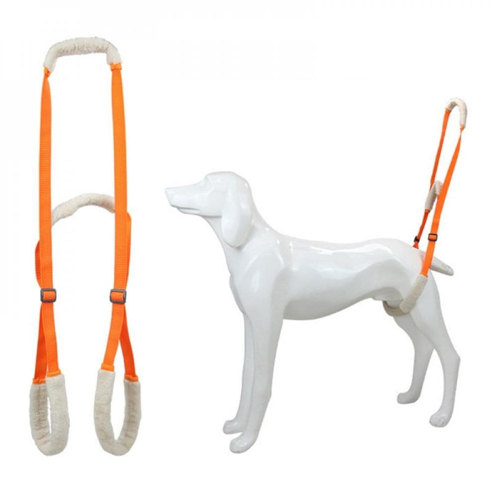 naiyafly-pet-dog-lift-harness-pet-rear-legs-support-aid-sling-for-elderly-dog-with-poor-stability-back-leg-hip-disabled-joint-injury-04-d72eaba6ca7ad41f2e656afb7acb32e3.jpg