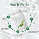 aloecure-organic-aloe-vera-capsules-130-000mg-equivalent-per-capsule-60-capsules-natural-stomach-acid-buffer-vegan-digestive-immune-supplement-grown-on-our-own-organic-farms-aloin-free-03-2a7188c68e07de8bf5728b73581c1718_b377bd5b-a13a-4336-bc45-751a94347ef4.jpg