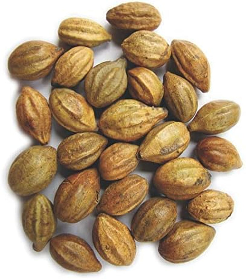 naturals-terminalia-chebula-kadukkai-powder-200g-7-05oz-03-0413d3884746a3e4c79c9875a637c561.jpg