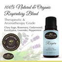 1-respiratory-essential-oil-sinus-relief-blend-supports-allergy-relief-breathing-congestion-relief-respiratory-function-100-organic-therapeutic-aromatherapy-grade-15ml-1-02-cb00288a59c51a8df316236b627423a1.jpg