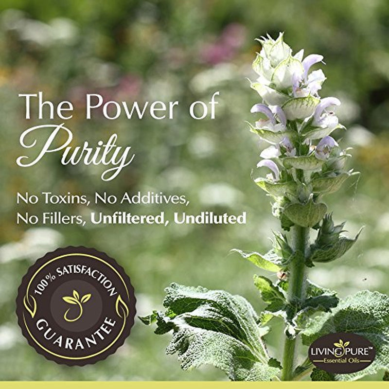 1-respiratory-essential-oil-sinus-relief-blend-supports-allergy-relief-breathing-congestion-relief-respiratory-function-100-organic-therapeutic-aromatherapy-grade-15ml-1-05-2bf0e0771420d57b70611c7a49698533.jpg