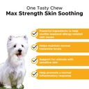 pet-honesty-dog-max-strength-allergy-skin-health-support-supplement-w-probiotics-omega-3s-and-biotin-duck-flavor-90-count-soft-chews-02-198e2b10525451aa49c8cec3b2c428de.jpg
