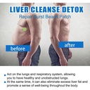 intense-antioxidant-liver-cleanse-detox-repair-burst-beads-patch-13-83405b276b3211d73e778d632a8d9b74.jpg