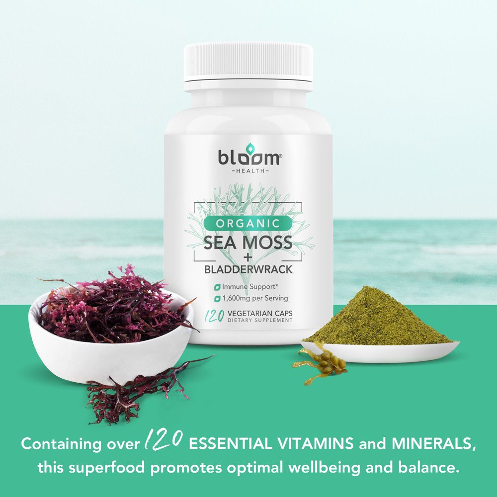 bloom-health-sea-moss-supplement-organic-irish-moss-for-immune-support-non-gmo-seamoss-capsules-for-thyroid-health-vegan-raw-seamoss-pills-with-organic-bladderwrack-powder-120-vegetarian-caps-03-1312339da1f0cf84dad03d15cab4cd54.jpg