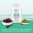 bloom-health-sea-moss-supplement-organic-irish-moss-for-immune-support-non-gmo-seamoss-capsules-for-thyroid-health-vegan-raw-seamoss-pills-with-organic-bladderwrack-powder-120-vegetarian-caps-03-1312339da1f0cf84dad03d15cab4cd54.jpg