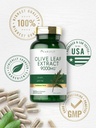 olive-leaf-extract-9000mg-200-capsules-high-potency-formula-by-carlyle-05-50d6802a80f8a26530714cfb7ee54079.jpg