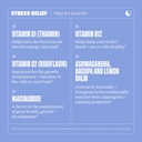 health-by-habit-stress-relief-supplement-04-3af46e1f6f5cda0e5e44dfce27eb1f28.jpg