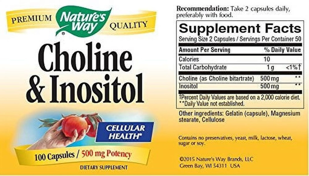 Brain Max Inositol Choline & Inositol - Brain & Cellular Energy - Nature's Way