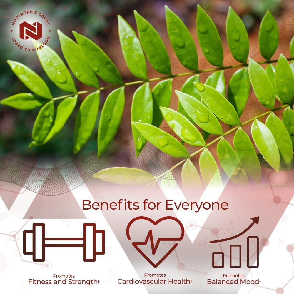 nootropics-depot-tongkat-ali-extract-capsules-100mg-60-count-10-eurycomanone-by-hptlc-eurycoma-longifolia-root-extract-03-5748f1bb4d982ec05d16145bdc2bb66c.jpg