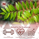 nootropics-depot-tongkat-ali-extract-capsules-100mg-60-count-10-eurycomanone-by-hptlc-eurycoma-longifolia-root-extract-03-5748f1bb4d982ec05d16145bdc2bb66c.jpg
