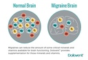 linpharma-dolovent-magnesium-b2-coq10-dietary-supplement-for-brain-health-3-bottles-04-01d66268ff2f00e20dacefae12089bd8.jpg