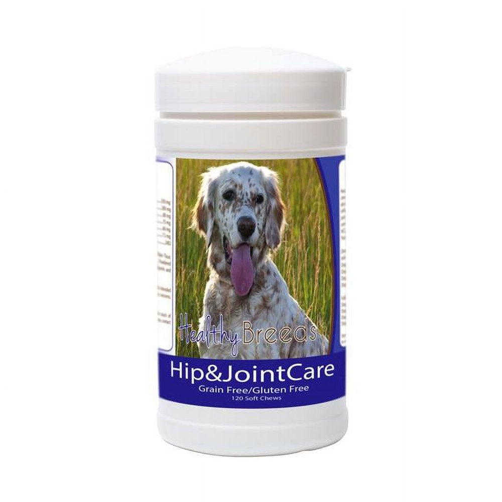 Healthy Breeds 840235153856 English Setter Hip and Joint Care